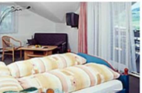 Hotel Freudenberg Апенцел Екстериор снимка